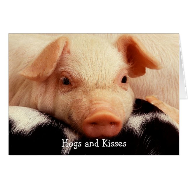 Hogs and Kisses (Front Horizontal)