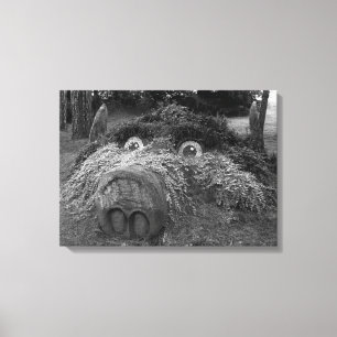 Hogs Head, Bute Park, Cardiff Canvas Print