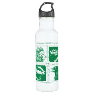 HOGWARTS™ House Animals Grid 710 Ml Water Bottle