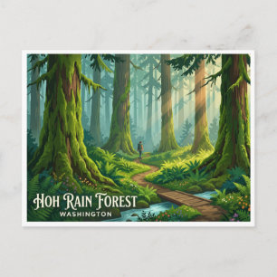 Hoh Rain Forest Forks Washington Postcard