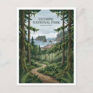 Hoh Rain Forest Forks Washington Postcard