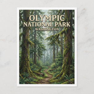 Hoh Rain Forest Forks Washington Postcard