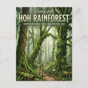 Hoh Rainforest Washington Postcard