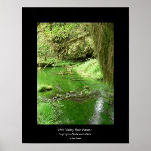 Hoh Valley Rain Forest Poster (stream)