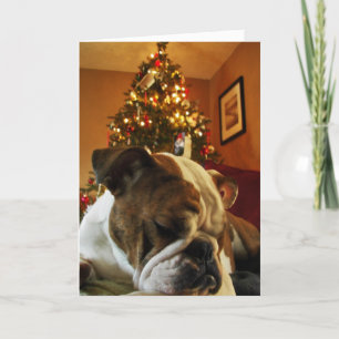 HoHo Maya Holiday Card