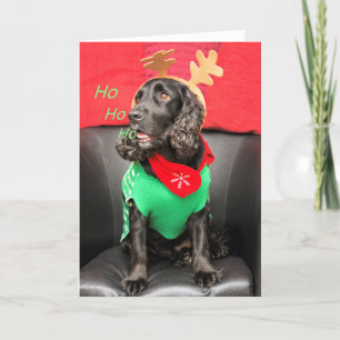 HoHoHo Cute Dog Holiday Card