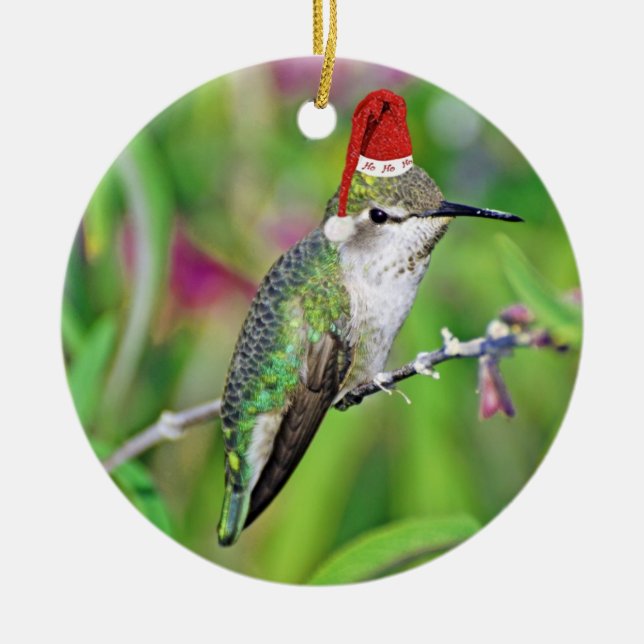 HoHoHo Hummingbird Ceramic Tree Decoration (Front)