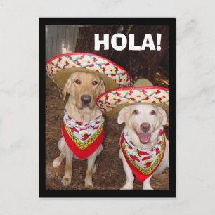 HOLA! POSTCARD
