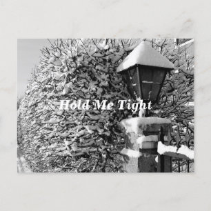 Hold Me Tight Postcard