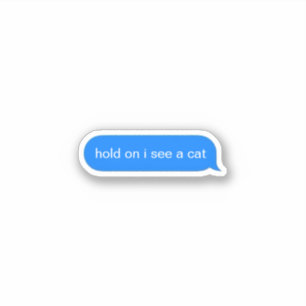 Hold on i see a cat