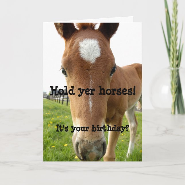 Hold Yer Horses Birthday horse face Card (Front)