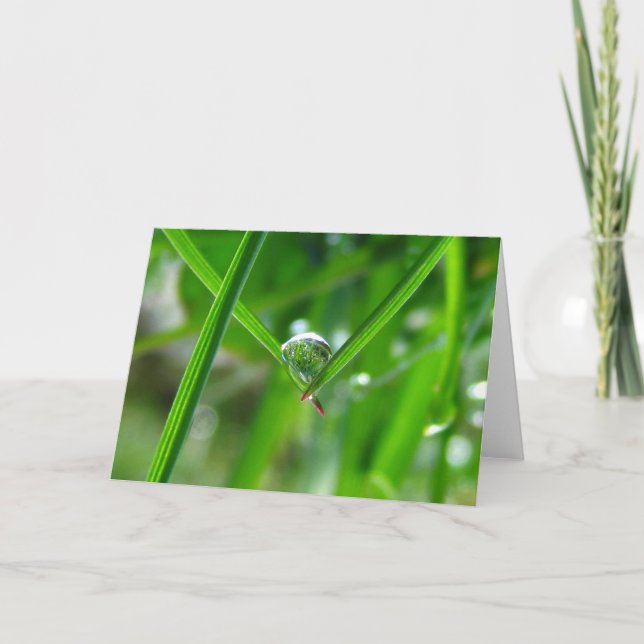 Holding Hands, Dew Drop Poetry of Nature Card (Front)