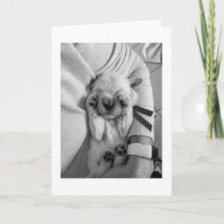 Holding Newborn Puppy | Blank Card