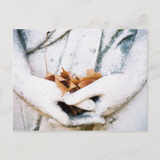 Holding Postcard