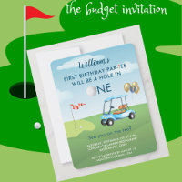 Hole In One BUDGET Boy Golf  Par-tee 1st Birthday 