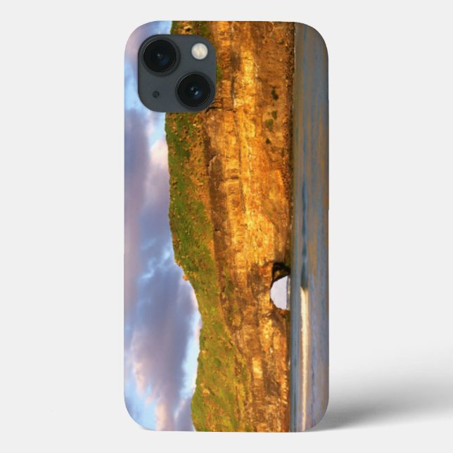 Hole In The Wall On The Wild Coast Case-Mate iPhone Case (Back)