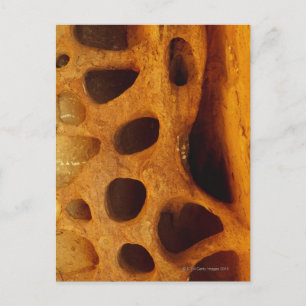Holes in rock postcard