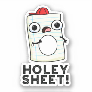 Holey Sheet Funny Paper Pun 