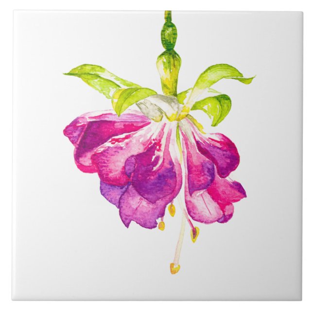 Holi on a Ceramic Tile (A) (Front)