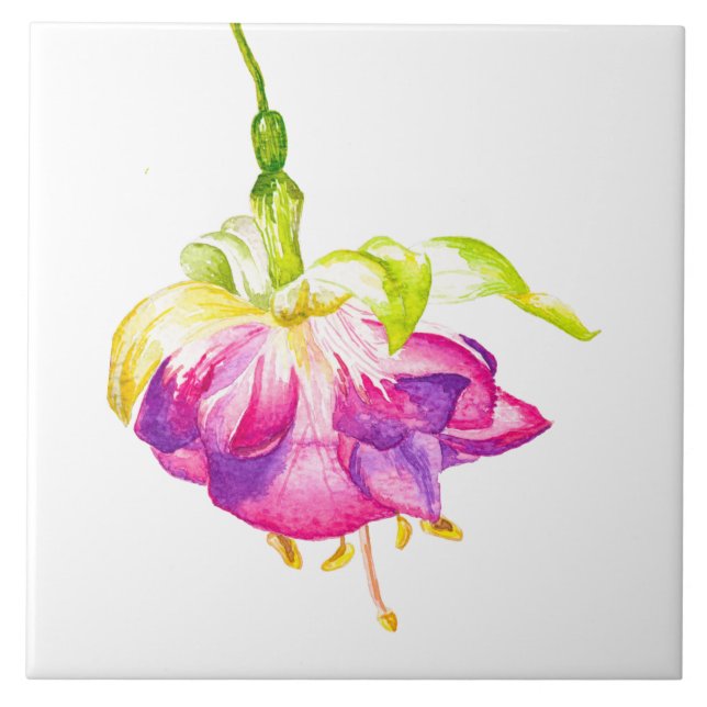 Holi on a Ceramic Tile (B) (Front)