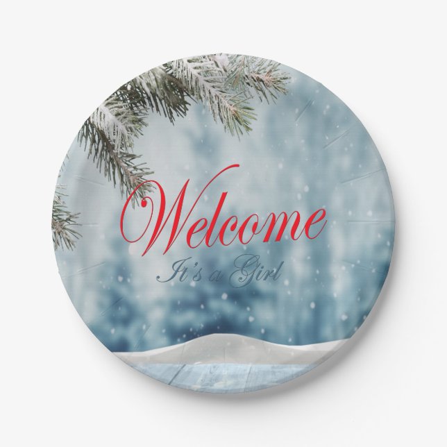 Holiday Baby Shower Paper Plate (Front)