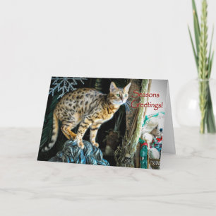 Holiday Bengal Cat Greeting Card