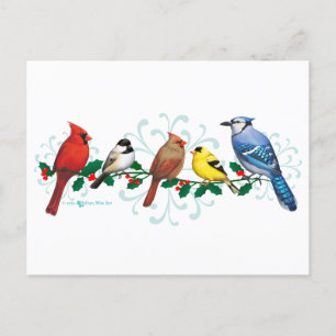 Holiday Birds