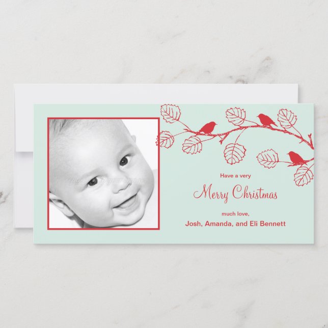 Holiday Birds Christmas Photo Card (Front)