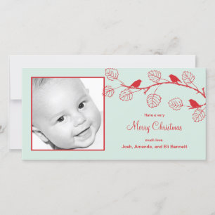 Holiday Birds Christmas Photo Card