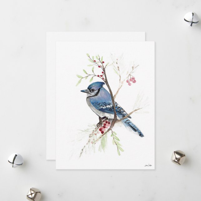 Holiday Blue Jay Art Card (Front/Back In Situ)
