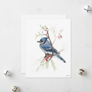 Holiday Blue Jay Art Card