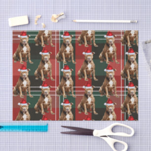 Holiday Brown Pitbull Dog Red Plaid Christmas Tissue Paper