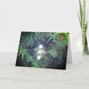 Holiday Bubble Card