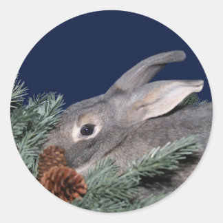 Holiday bunny classic round sticker