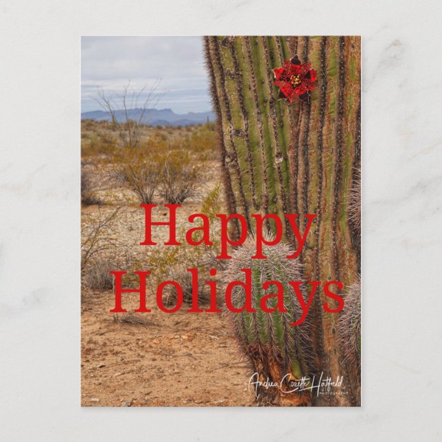 Holiday Cactus Postcard (Front)