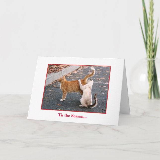 Holiday Card (Front)