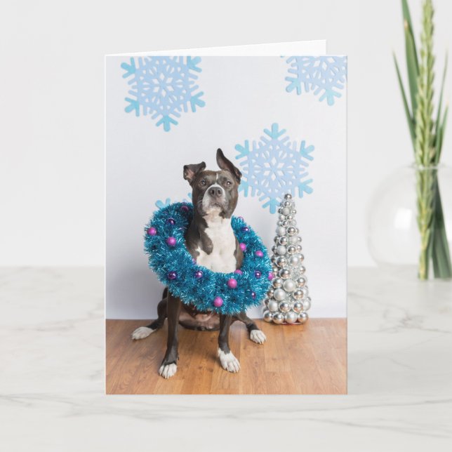 Holiday card (Front)