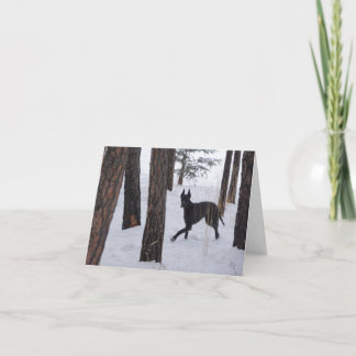 Holiday Card