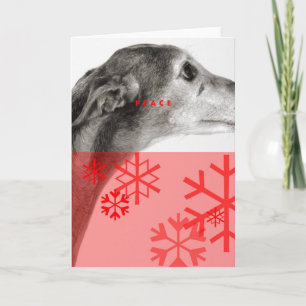 Holiday Card_10 Card