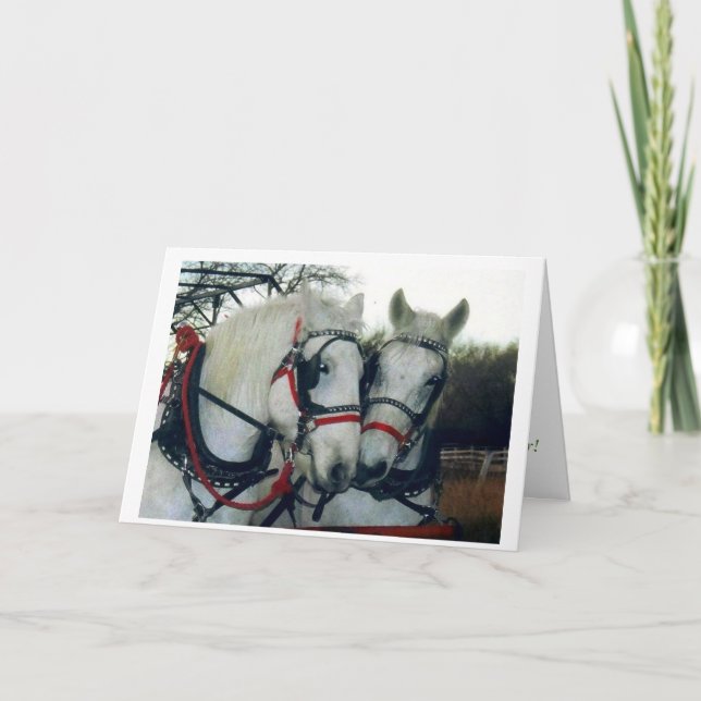 Holiday Card 2010 (Front)