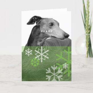 Holiday Card_4