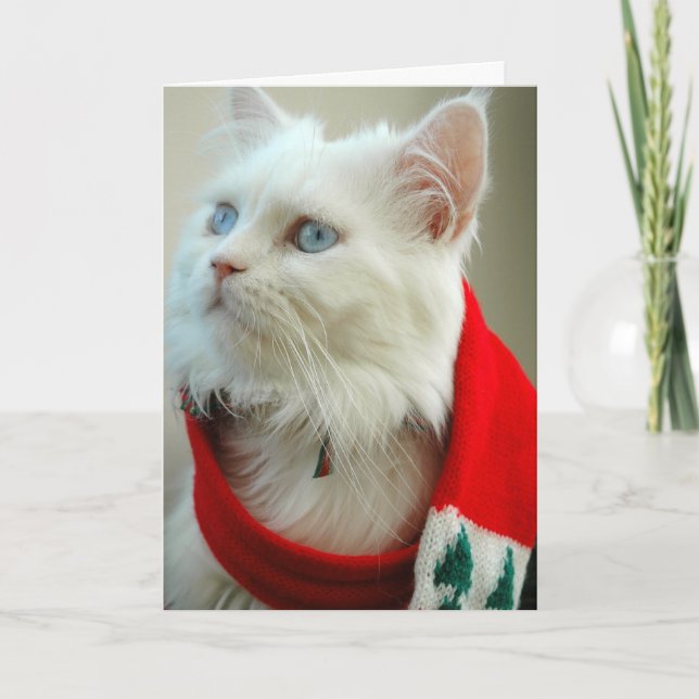 Holiday Card "Baby its cold outside (Front)