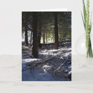 Holiday card, Bob’s Peak Queenstown