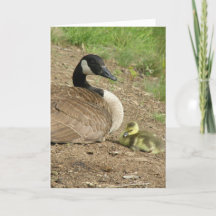 holiday card - Mother's Day Goose with Gosling