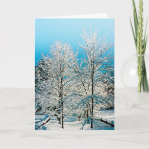 ***Holiday Card: Nature full of divinity. Holiday Card