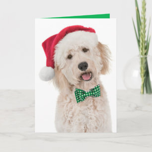 Holiday Card with Golden Doodle