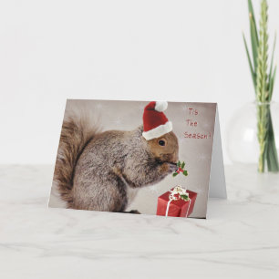 Holiday Cards for Nature Lovers