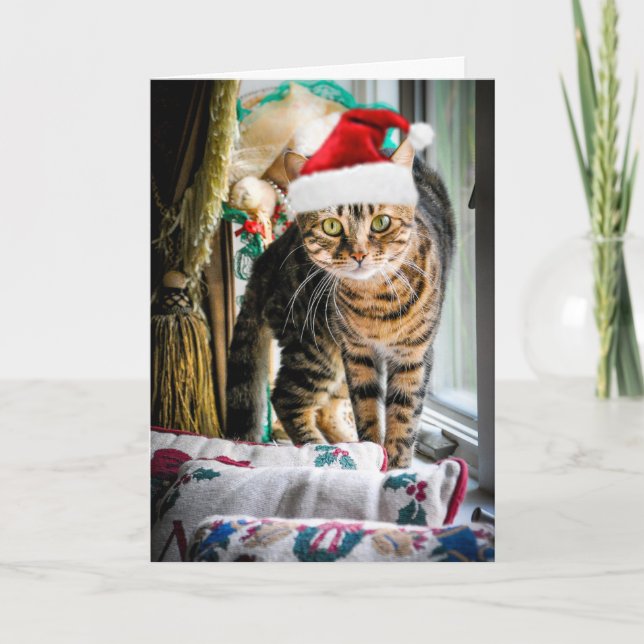 Holiday Cat Greeting Card (Front)