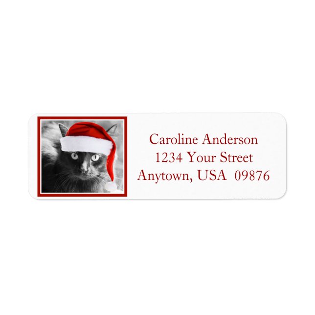Holiday Cat, Personalised Return Address (Front)