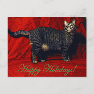 Holiday Cat - postcard